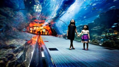Indoor Attractions in Dubai