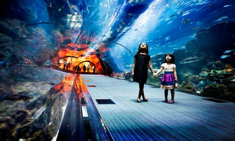 Indoor Attractions in Dubai