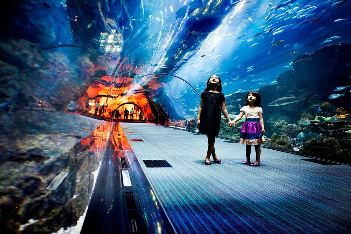 Indoor Attractions in Dubai