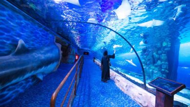 Deira Park Hotel Dubai