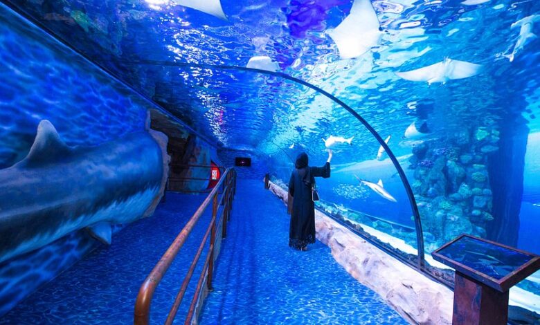 Deira Park Hotel Dubai