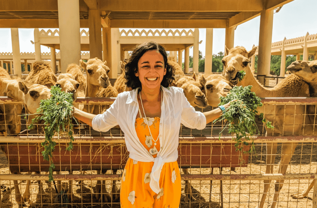 Things to Do in Bahrain