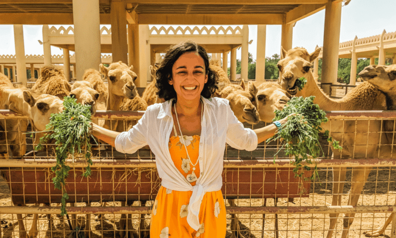 Things to Do in Bahrain