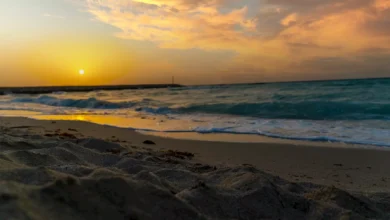 Bilaj Al Jazayer Beach